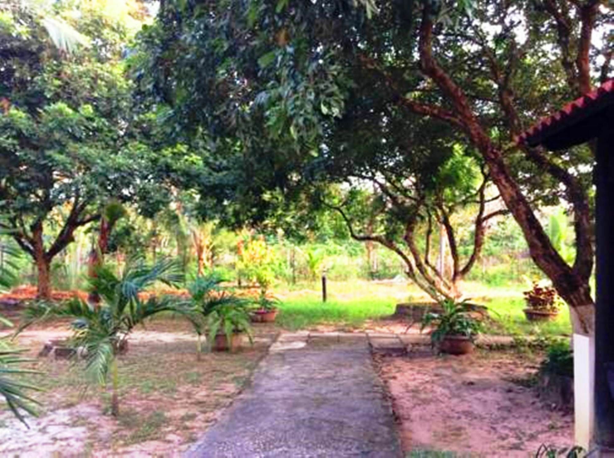 דואונג דונג Huong Toan Resort מראה חיצוני תמונה